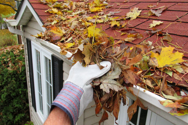 Want to Reduce Your Home Maintenance?